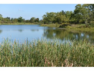 Property photo 40 - Tillable, Pasture, Recreational, Hunting and Fishing Property  